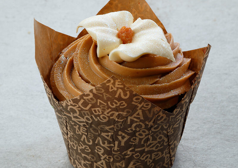 Chocolate Cupcakes